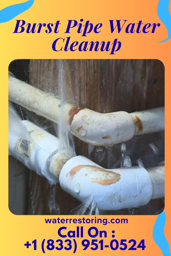 Burst Pipe Water Cleanup in La Cresta, CA